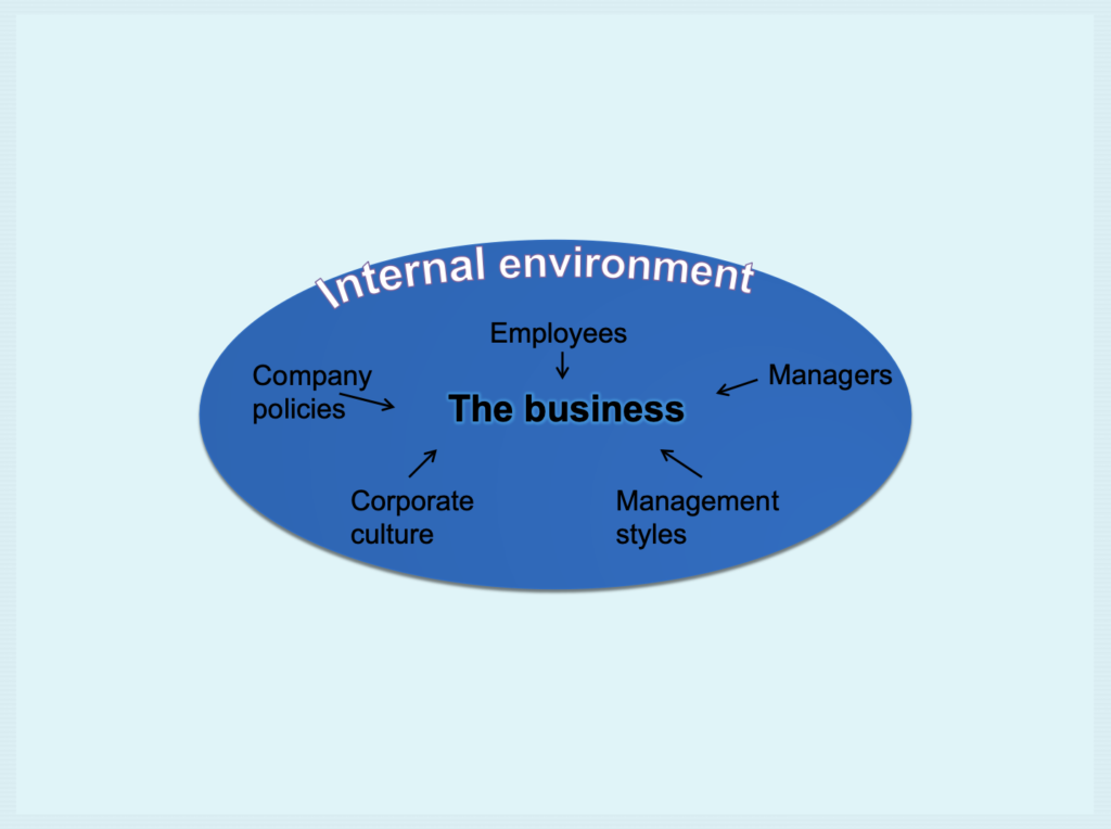 Environment Presentation Notes